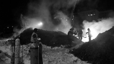 Фото с сайта nso.ru