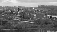 Фото Алексея ТАНЮШИНА