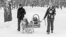Фото Алексея ТАНЮШИНА