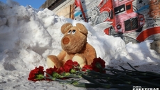 Фото Алексея ТАНЮШИНА