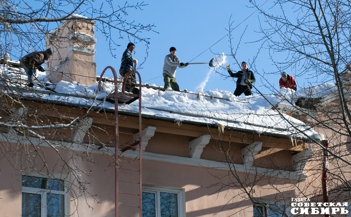 Фото Алексея ТАНЮШИНА