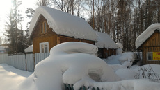 Фото Алексея ТАНЮШИНА