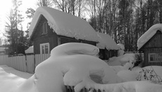 Фото Алексея ТАНЮШИНА