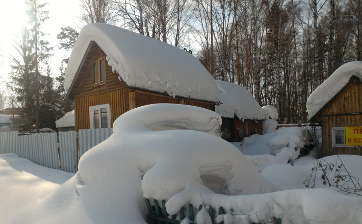 Фото Алексея ТАНЮШИНА