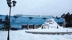 Фото из архива ИД «Советская Сибирь»