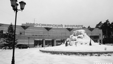 Фото из архива ИД «Советская Сибирь»