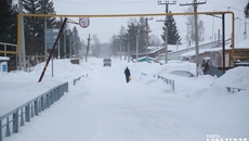 Фото Алексея ТАНЮШИНА