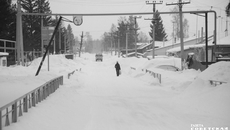 Фото Алексея ТАНЮШИНА