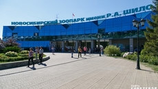 Фото из архива ИД «Советская Сибирь»