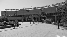 Фото из архива ИД «Советская Сибирь»
