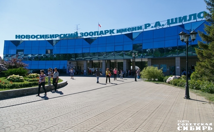 Фото из архива ИД «Советская Сибирь»