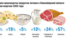 Динамика производства продуктов питания в Новосибирской области в первом квартале 2020 года