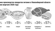 Динамика производства продуктов питания в Новосибирской области в первом квартале 2020 года