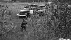 Пришел в лес — не разводи костер, не кури, подумай о живности, которая не сможет спастись от огня, о риске потерять всю эту красоту и богатство. Фото Алексея ТАНЮШИНА