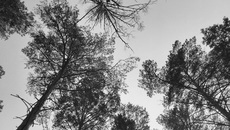 Фото с сайта prirodoohrana.com