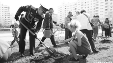 Напротив каждого деревца — табличка с фамилией героя, воевавшего за Победу. Фото Алексея ТАНЮШИНА