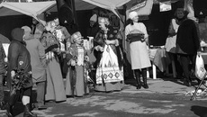 Фото предоставлены ООО «Апекс-Н»