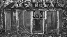 Если вы решили снести старую теплицу на даче и построить новую, то придется пригласить на участок специалистов, они засвидетельствуют изменения. Фото с сайта pixabay.com