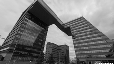 Фото Алексея ТАНЮШИНА