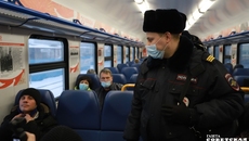В электричках контролеры проверяют, не забыли ли пассажиры надеть маски. Если СИЗ нет, предлагают купить. Фото Алексея ТАНЮШИНА