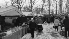 Фото с сайта minrpp.nso.ru