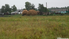 Фото Алексея ТАНЮШИНА