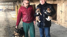 Фото с сайта zsnso.ru 
