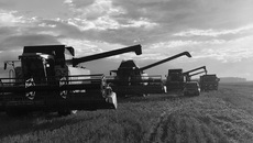Фото из архива СПК колхоз «Победа»