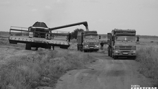 Фото Алексея ТАНЮШИНА