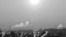 Фото с сайта pixabay.com