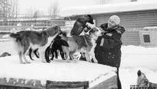 Фото Алексея ТАНЮШИНА