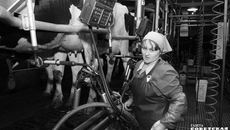 Фото из архива ИД «Советская Сибирь»