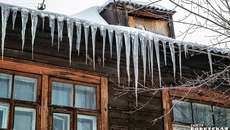 Фото Алексея ТАНЮШИНА