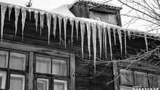 Фото Алексея ТАНЮШИНА