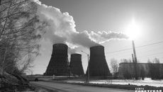 Фото Алексея ТАНЮШИНА