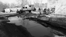 Фото Алексея ТАНЮШИНА