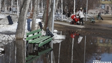 Фото Алексея ТАНЮШИНА