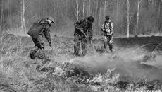 В тушении лесных пожаров в Новосибирской области в этом году задействовали 1 458 человек и 508 единиц специализированной техники. Фото: Алексей Танюшин