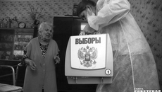 В 2021 году избирательная кампания пройдет не только с соблюдением антипандемийных мер, но и с использованием дистанционных технологий сайта «Госуслуги». Фото: Алексей Танюшин