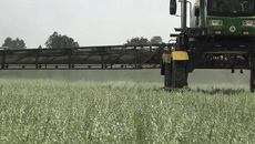 На портале agroserver.ru цена на лен масличный
составляет до 56 950 рублей за тонну и 60 рублей за килограмм. Фото: pixabay.com