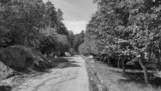Контракт на благоустройство Заельцовского парка заключен на сумму более 170 миллионов рублей
из средств федерального, областного и местного бюджетов. Работы уже начались. / Фото с сайта правительства