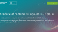 Скриншот сайта fondnid.ru