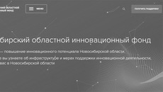 Скриншот сайта fondnid.ru