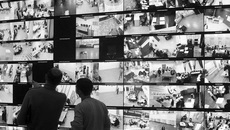 Избирательная комиссия Новосибирской области обеспечила для региона трансляцию совещания ЦИК России, посвященного одной из самых актуальных тем — видеонаблюдению на предстоящих выборах. Фото: vedomosti.ru