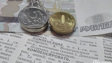 Льготные категории граждан, которым выплачивают компенсацию на оплату жилищно-коммунальных услуг: инвалиды и участники ВОВ, ветераны труда, ветераны труда Новосибирской области, заслуженные работники, инвалиды, а также лица, подвергшиеся политическим репрессиям и впоследствии реабилитированные. Помочь разобраться с размером компенсации попросите представителя местного центра социальной поддержки населения. Фото: Юлия Назаренко