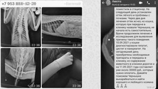 За судьбу Чернышки переживали 500 человек. Фото предоставлено читателями 