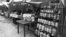 Грузди, рыжики, опята, маслята, боровики — сушеные, соленые, маринованные и другие дары Сузунского бора произвели фурор на универсальной оптово-розничной ярмарке «Краснообская осень». Фото: minrpp.nso.ru