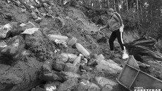 Усилиями волонтеров берега водоемов области и мегаполиса очищаются локально. Нужна системная работа и ужесточение санкций в отношении нарушителей экологического законодательства. Иначе все добровольческие субботники выглядят насмешкой. Фото: архив ИД «СОветская Сибирь»