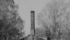 Фото: Пресс-служба мэрии Новосибирска