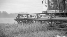 В этом году хозяйствами региона уже приобретено 2 040 единиц техники на 8,4 миллиарда рублей. Год от года запрос на компенсацию части затрат на приобретение сельхозмашин растет. Фото: Андрей Заржецкий